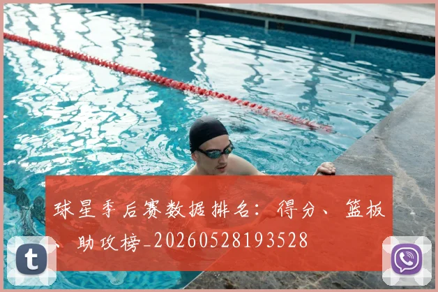 球星季后赛数据排名:得分、篮板、助攻榜_20260528193528